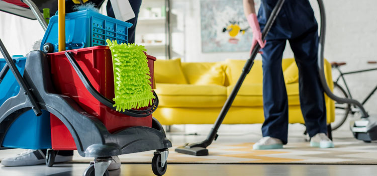 ¿Sabías que un propietario promedio pasa alrededor de 24 días cada año limpiando su casa?